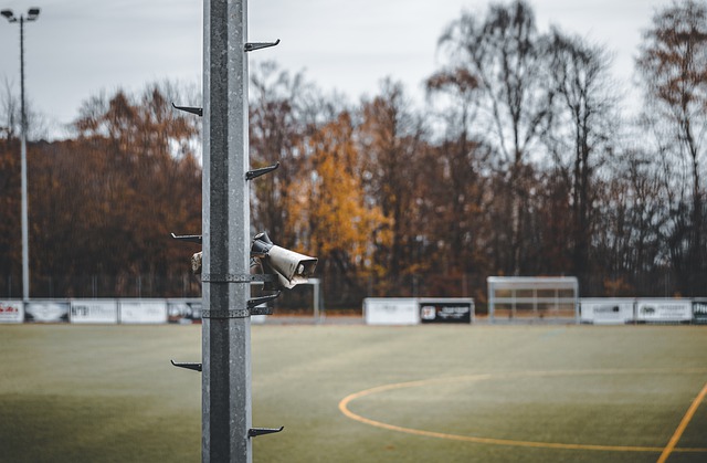 但又不得不 但又不得不