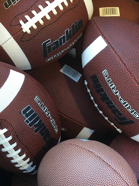 其中的佼佼 其中的佼佼