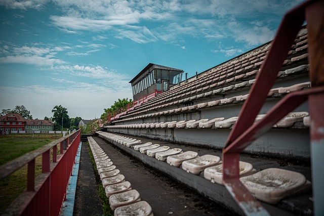 这让公众开 这让公众开