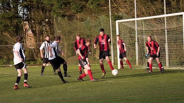 不当行为 不当行为