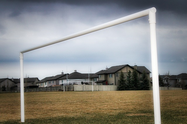 運動愛好者 運動愛好者