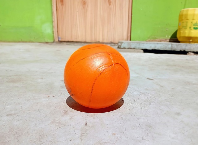 监管机构的 监管机构的