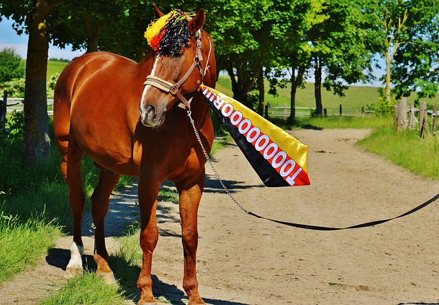 機遇與挑戰 機遇與挑戰