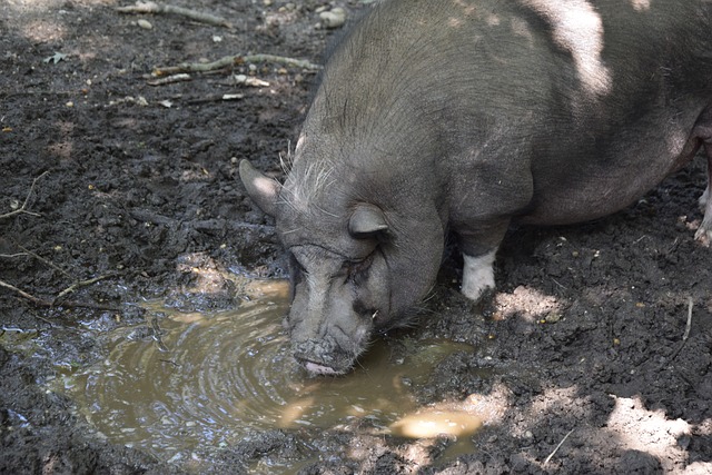 NBA消息！湖人升第4，快船勇士抢第5，火箭季后赛稳了.